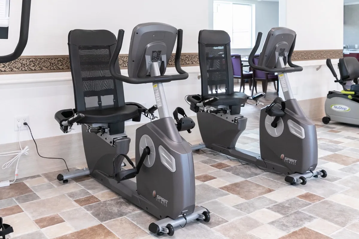 リカベントバイク